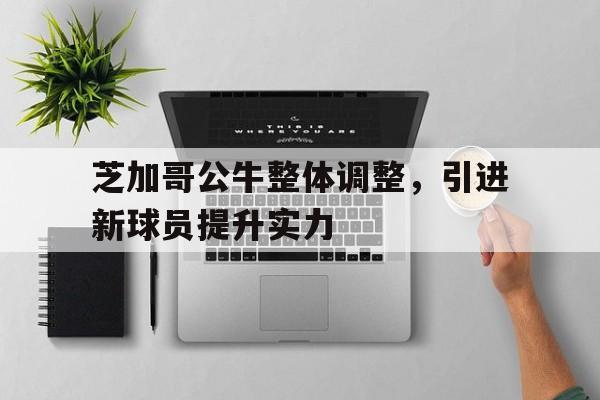 芝加哥公牛2021